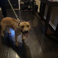 processed/6867cf46-ca57-43a7-b8c2-368cccf2d7d1/facility/4ada6ae1-d205-41de-a190-9a0fd14b827c