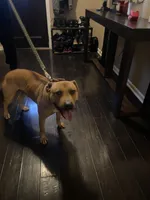 processed/6867cf46-ca57-43a7-b8c2-368cccf2d7d1/facility/4ada6ae1-d205-41de-a190-9a0fd14b827c