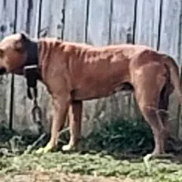 processed/6867cf46-ca57-43a7-b8c2-368cccf2d7d1/facility/5ae77a14-2b43-44aa-8ba7-4a5420b9767b