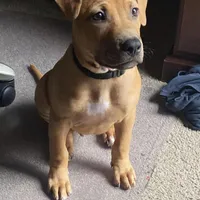 processed/6867cf46-ca57-43a7-b8c2-368cccf2d7d1/facility/627abd51-6faf-44dd-88d8-d81eb0b82da1