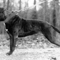 processed/6867cf46-ca57-43a7-b8c2-368cccf2d7d1/facility/a7b9d167-3b9c-4e0a-af6e-a0af9a0f0ea2