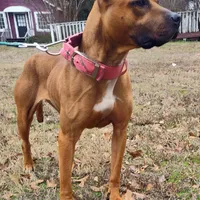 processed/6867cf46-ca57-43a7-b8c2-368cccf2d7d1/facility/a87202bb-c699-413a-873f-9f2a34707286