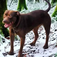 processed/6867cf46-ca57-43a7-b8c2-368cccf2d7d1/facility/f36f0862-c2f1-4517-9673-8fa6f3af8595