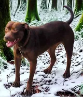 processed/6867cf46-ca57-43a7-b8c2-368cccf2d7d1/facility/f36f0862-c2f1-4517-9673-8fa6f3af8595