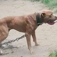 processed/6867cf46-ca57-43a7-b8c2-368cccf2d7d1/facility/f67b94f1-97ba-4de1-97b2-0d636260ba29