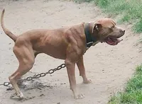 processed/6867cf46-ca57-43a7-b8c2-368cccf2d7d1/facility/f67b94f1-97ba-4de1-97b2-0d636260ba29