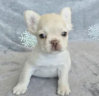 processed/686da403-b371-4bfc-a550-f14adb03fd64/listing/17a0f569-44e0-4064-b7db-ab1a9be9541c/42b66649-4c41-473b-9028-24361201d3b3