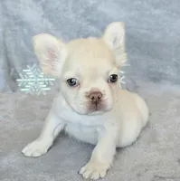 processed/686da403-b371-4bfc-a550-f14adb03fd64/listing/17a0f569-44e0-4064-b7db-ab1a9be9541c/64070db4-ff0e-43c5-90b4-87077b6cdf83