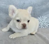 processed/686da403-b371-4bfc-a550-f14adb03fd64/listing/17a0f569-44e0-4064-b7db-ab1a9be9541c/9209566c-3c15-4972-b673-ec5599e28c57