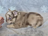 processed/686da403-b371-4bfc-a550-f14adb03fd64/listing/54b02fef-4ab5-46cf-84ee-b5737fc90bbb/08ddbe54-3c9c-47d2-abab-7d364ed7f99a