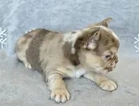 processed/686da403-b371-4bfc-a550-f14adb03fd64/listing/54b02fef-4ab5-46cf-84ee-b5737fc90bbb/097e5067-6cc4-46c2-aacc-49dae866a5a0