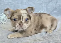 processed/686da403-b371-4bfc-a550-f14adb03fd64/listing/54b02fef-4ab5-46cf-84ee-b5737fc90bbb/e8d081c9-9bef-4be2-b0ef-76990f917306