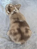 processed/686da403-b371-4bfc-a550-f14adb03fd64/listing/54b02fef-4ab5-46cf-84ee-b5737fc90bbb/ea179caf-224a-4989-bb5b-4847e7e71047