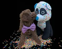 Britney Spears 💜, a female Poodle - Toy  for sale in Meta, MO – Photo 2 of 10