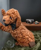 Abel 🤎, a male Poodle - Miniature  for sale in Meta, MO – 9 of 10