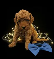 processed/68786468-075f-4744-9406-fc846190954c/listing/5bdd0b54-49c3-4614-931e-56a470773c4b/0243b19d-0f39-40fc-8e45-61291ed9e5fb