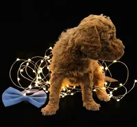 processed/68786468-075f-4744-9406-fc846190954c/listing/5bdd0b54-49c3-4614-931e-56a470773c4b/341e2ae8-3e4f-458c-900c-18611166b450