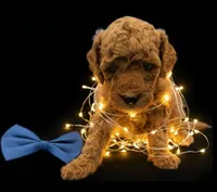 processed/68786468-075f-4744-9406-fc846190954c/listing/5bdd0b54-49c3-4614-931e-56a470773c4b/52ca5734-3251-446e-848d-03845ccef630