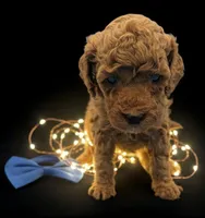 processed/68786468-075f-4744-9406-fc846190954c/listing/5bdd0b54-49c3-4614-931e-56a470773c4b/86105b0d-84d9-4ba1-8019-9b6d606ee8cc