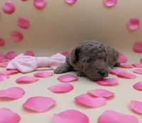 processed/68786468-075f-4744-9406-fc846190954c/listing/5cd48313-d02e-4eed-af97-cabe50408461/1626e640-6d08-4b1c-a76b-9a66211df4e4