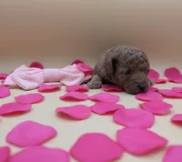 processed/68786468-075f-4744-9406-fc846190954c/listing/5cd48313-d02e-4eed-af97-cabe50408461/5572b0d1-ab45-4b25-b4a9-0ebe853f1859