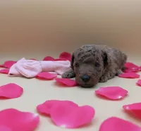 processed/68786468-075f-4744-9406-fc846190954c/listing/5cd48313-d02e-4eed-af97-cabe50408461/89787d84-97fe-413c-9f87-920be77a0b1c