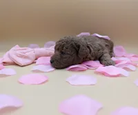 processed/68786468-075f-4744-9406-fc846190954c/listing/5cd48313-d02e-4eed-af97-cabe50408461/c5ea977a-e203-4d85-bdf3-9ba3520c0f54