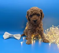 processed/68786468-075f-4744-9406-fc846190954c/listing/5fba0569-346e-4cb4-bc9b-77c13497c124/3e9585ed-db70-4f06-b78e-460e95bf9e17