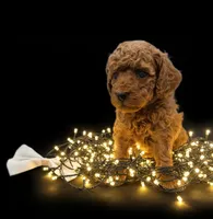 processed/68786468-075f-4744-9406-fc846190954c/listing/5fba0569-346e-4cb4-bc9b-77c13497c124/6982456a-7624-4ab5-b8c9-5aca7bcdf1a9