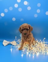 processed/68786468-075f-4744-9406-fc846190954c/listing/5fba0569-346e-4cb4-bc9b-77c13497c124/99c63f55-9c15-4dd5-92d3-570d73021e28