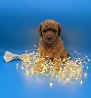 processed/68786468-075f-4744-9406-fc846190954c/listing/5fba0569-346e-4cb4-bc9b-77c13497c124/b2f8f12d-1737-4168-ac2a-cd943d99da0c