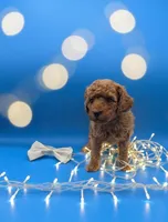 processed/68786468-075f-4744-9406-fc846190954c/listing/5fba0569-346e-4cb4-bc9b-77c13497c124/f73c56d3-fd3a-4928-a196-79c7f6d549a6