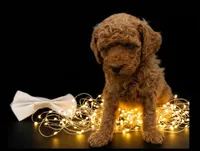 processed/68786468-075f-4744-9406-fc846190954c/listing/5fba0569-346e-4cb4-bc9b-77c13497c124/fd76e1d1-ba90-4f27-8793-249b12d32954