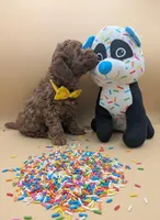 Eve 💛, a female Poodle - Toy  for sale in Meta, MO – Photo 7 of 10