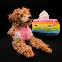 Jessica Simpson Dark 🩷, a female Poodle - Toy  for sale in Meta, MO – Photo 7 of 10