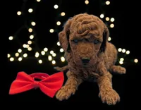 processed/68786468-075f-4744-9406-fc846190954c/listing/d1d1b6fe-9ba3-4f8d-8a5f-593082c3db5b/8028ee1b-bb02-4224-b842-41af34327ca8