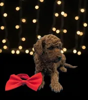 processed/68786468-075f-4744-9406-fc846190954c/listing/d1d1b6fe-9ba3-4f8d-8a5f-593082c3db5b/8d823295-fb80-4378-a0cd-99028fd7a76e