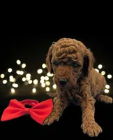 processed/68786468-075f-4744-9406-fc846190954c/listing/d1d1b6fe-9ba3-4f8d-8a5f-593082c3db5b/991a907a-87da-4662-a8a5-95e587a928bb