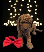 processed/68786468-075f-4744-9406-fc846190954c/listing/d1d1b6fe-9ba3-4f8d-8a5f-593082c3db5b/9d86acab-01c1-400c-b48a-90079657600d