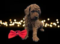 processed/68786468-075f-4744-9406-fc846190954c/listing/d1d1b6fe-9ba3-4f8d-8a5f-593082c3db5b/a5a15e51-3a94-43d1-854f-2fc4055d0548