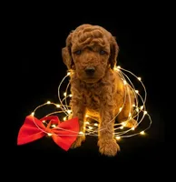 processed/68786468-075f-4744-9406-fc846190954c/listing/d1d1b6fe-9ba3-4f8d-8a5f-593082c3db5b/ca3d75b5-8cb5-4f94-b63b-68b6b2c3b297