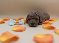 processed/68786468-075f-4744-9406-fc846190954c/listing/fbcdca7c-5d4a-4088-8cd4-8ab2dcc2ba38/05ae32d0-14be-4719-b25e-5fab09306d5d