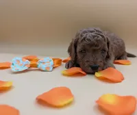 processed/68786468-075f-4744-9406-fc846190954c/listing/fbcdca7c-5d4a-4088-8cd4-8ab2dcc2ba38/3c8ebc33-6850-4a1e-a054-6720ea8a5e39