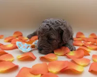 processed/68786468-075f-4744-9406-fc846190954c/listing/fbcdca7c-5d4a-4088-8cd4-8ab2dcc2ba38/aeab00f6-cbe0-41b6-8014-6d4719e2d394