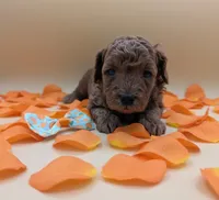 processed/68786468-075f-4744-9406-fc846190954c/listing/fbcdca7c-5d4a-4088-8cd4-8ab2dcc2ba38/bcd28984-e014-44e7-b8ce-7642edf75a36