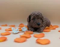 processed/68786468-075f-4744-9406-fc846190954c/listing/fbcdca7c-5d4a-4088-8cd4-8ab2dcc2ba38/d07f66bf-d906-4387-bd81-48d409f9dfaa