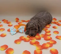 processed/68786468-075f-4744-9406-fc846190954c/listing/fbcdca7c-5d4a-4088-8cd4-8ab2dcc2ba38/d2ca025e-e8b5-4274-a8ab-729f2df8288b