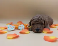 processed/68786468-075f-4744-9406-fc846190954c/listing/fbcdca7c-5d4a-4088-8cd4-8ab2dcc2ba38/e03513a9-afce-420b-87f7-226416bf122d