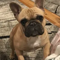 processed/687e7d28-1452-4b51-a35e-9b618b787702/facility/3c86f3be-cdf1-4f2b-b08f-c66d59d386a3