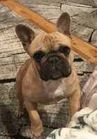 processed/687e7d28-1452-4b51-a35e-9b618b787702/facility/3c86f3be-cdf1-4f2b-b08f-c66d59d386a3